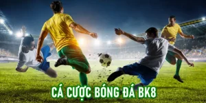 Cá cược bóng đá Bk8